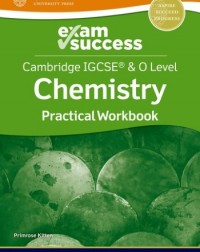 NEW CAMBRIDGE IGCSE AND O LEVEL CHEMISTRY: EXAM SUCCESS PRACTICAL WORKBOOK - 9781382006385